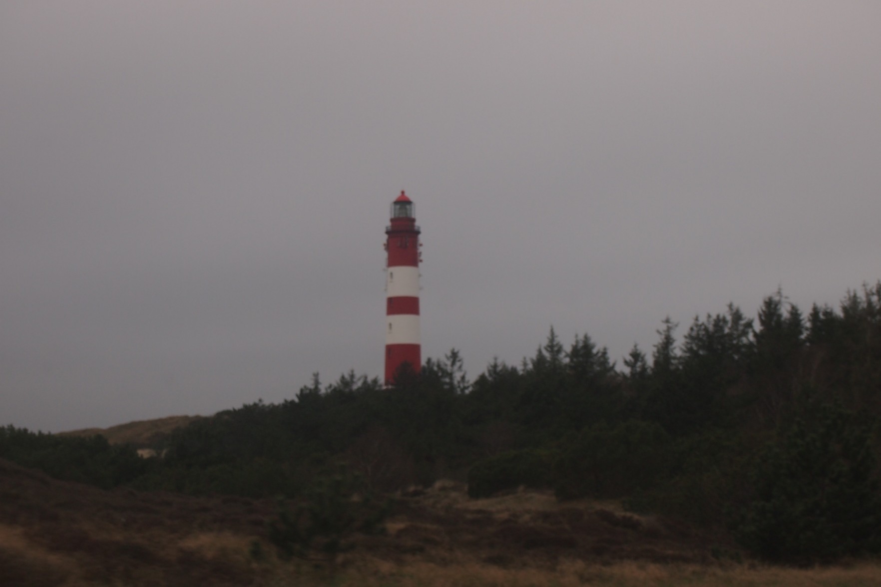 Eines meiner ersten Bilder beim Fotovorschlag. Ein Leuchtturm oberhalb von bewaldeten Dünen.